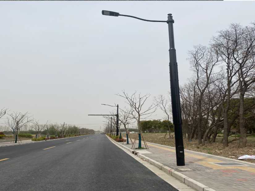 西和县上海综合杆 太阳能路灯工程